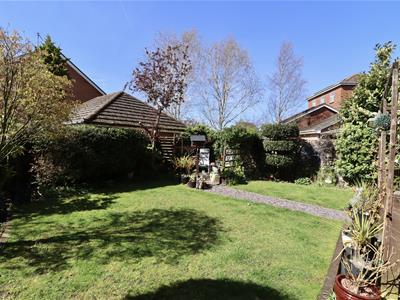 Picture 20